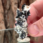 5cm 14g Black Tourmaline from Gon Mine, Shigar, Gilgit-Baltistan, PK