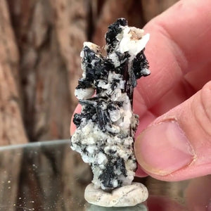 5cm 14g Black Tourmaline from Gon Mine, Shigar, Gilgit-Baltistan, PK