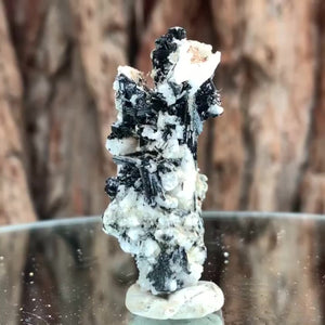 5cm 14g Black Tourmaline from Gon Mine, Shigar, Gilgit-Baltistan, PK