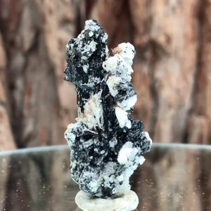 5cm 14g Black Tourmaline from Gon Mine, Shigar, Gilgit-Baltistan, PK