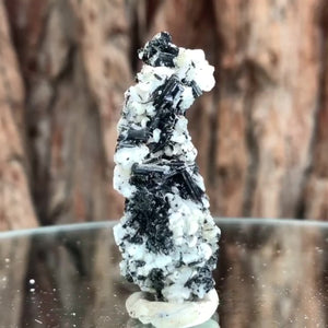5cm 14g Black Tourmaline from Gon Mine, Shigar, Gilgit-Baltistan, PK