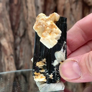 6cm 70g Black Tourmaline from Gon Mine, Shigar, Gilgit-Baltistan, PK