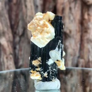 6cm 70g Black Tourmaline from Gon Mine, Shigar, Gilgit-Baltistan, PK