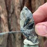 5.5cm 30g Black Tourmaline from Gon Mine, Shigar, Gilgit-Baltistan, PK