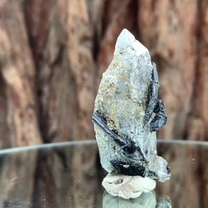 5.5cm 30g Black Tourmaline from Gon Mine, Shigar, Gilgit-Baltistan, PK