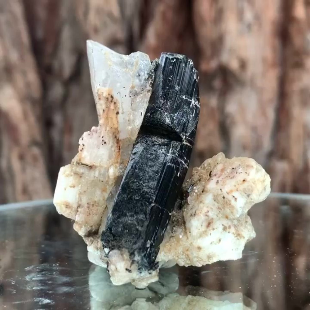 5cm 54g Black Tourmaline from Gon Mine, Shigar, Gilgit-Baltistan, PK