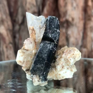 5cm 54g Black Tourmaline from Gon Mine, Shigar, Gilgit-Baltistan, PK