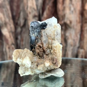 5cm 54g Black Tourmaline from Gon Mine, Shigar, Gilgit-Baltistan, PK