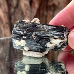 5cm 59g Black Tourmaline from Gon Mine, Shigar, Gilgit-Baltistan, PK