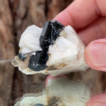 5cm 60g Black Tourmaline from Gon Mine, Shigar, Gilgit-Baltistan, PK