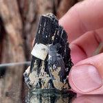 5cm 40g Black Tourmaline from Gon Mine, Shigar, Gilgit-Baltistan, PK