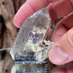 6.5cm 73g Black Tourmaline from Gon Mine, Shigar, Gilgit-Baltistan, PK