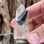 6cm 38g Black Tourmaline from Gon Mine, Shigar, Gilgit-Baltistan, PK