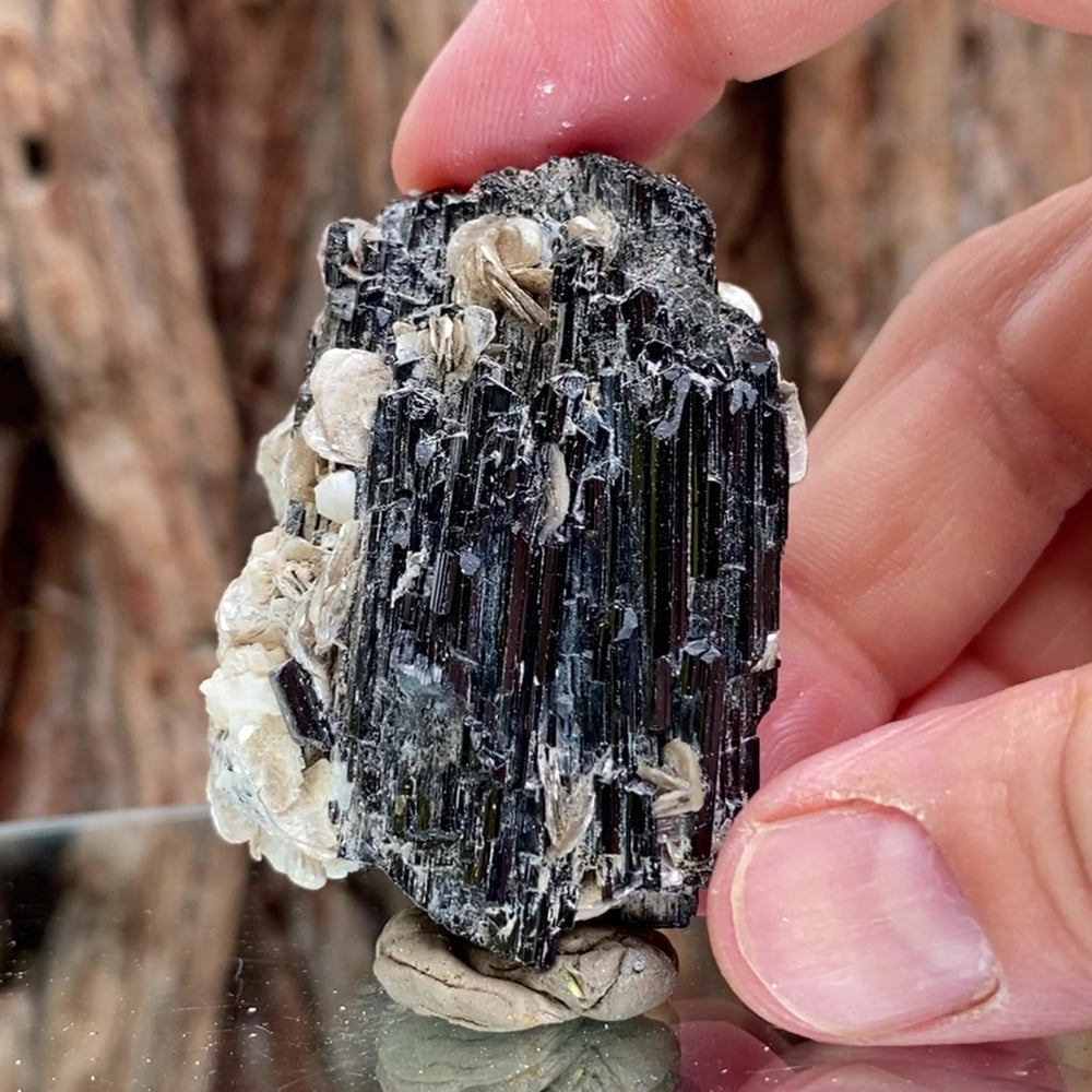 5.5cm 75g Black Tourmaline from Gon Mine, Shigar, Gilgit-Baltistan, PK