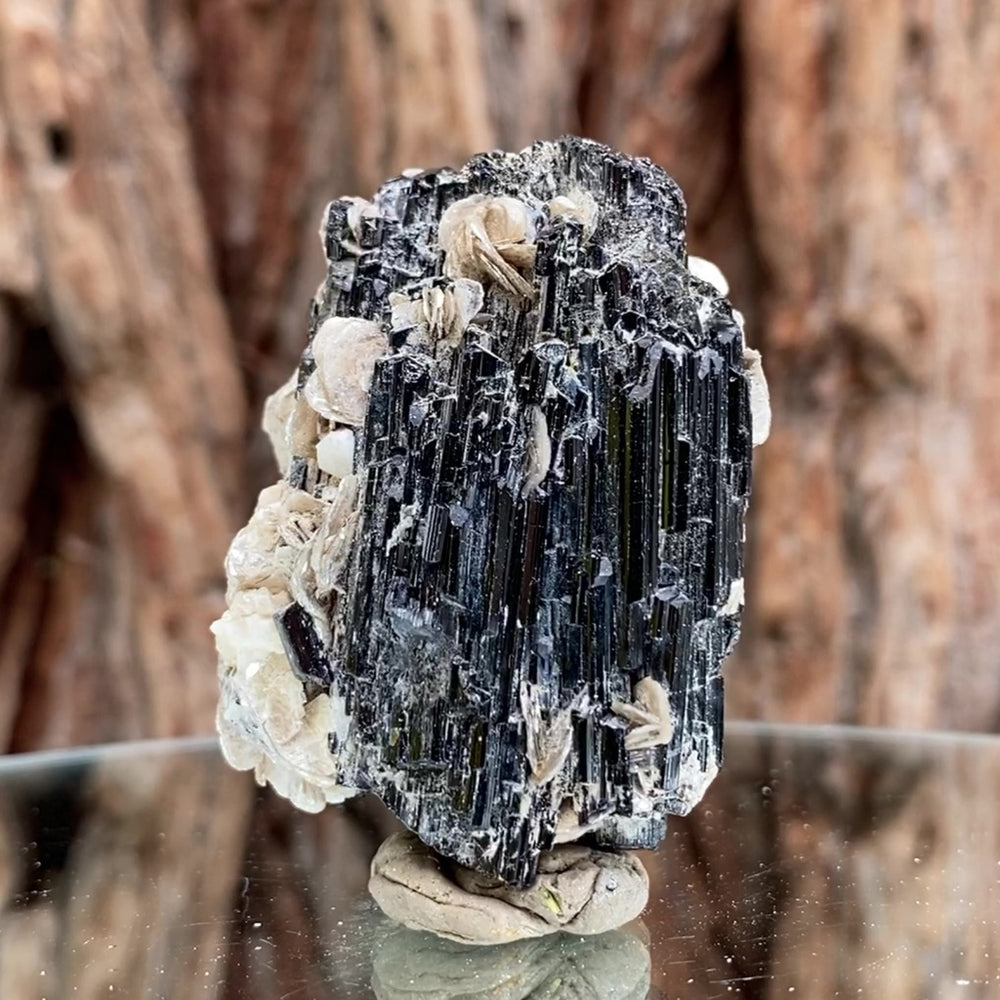 5.5cm 75g Black Tourmaline from Gon Mine, Shigar, Gilgit-Baltistan, PK