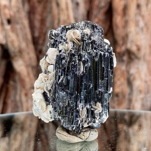 5.5cm 75g Black Tourmaline from Gon Mine, Shigar, Gilgit-Baltistan, PK