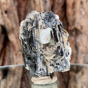 5.5cm 75g Black Tourmaline from Gon Mine, Shigar, Gilgit-Baltistan, PK