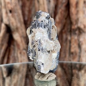 5.5cm 75g Black Tourmaline from Gon Mine, Shigar, Gilgit-Baltistan, PK