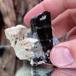 4.5cm 65g Black Tourmaline from Gon Mine, Shigar, Gilgit-Baltistan, PK