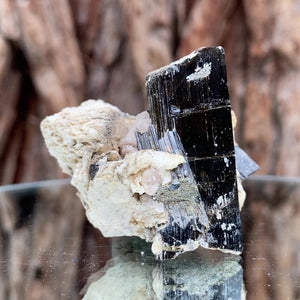 4.5cm 65g Black Tourmaline from Gon Mine, Shigar, Gilgit-Baltistan, PK