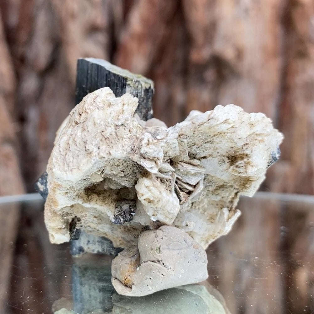4.5cm 65g Black Tourmaline from Gon Mine, Shigar, Gilgit-Baltistan, PK