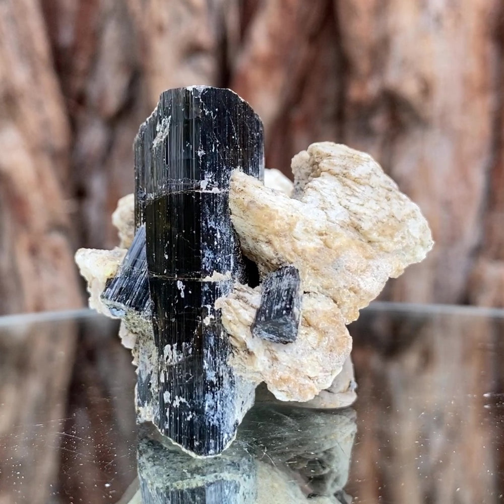 4.5cm 65g Black Tourmaline from Gon Mine, Shigar, Gilgit-Baltistan, PK