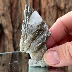 5.5cm 65g Epidote and Quartz from Skardu, Pakistan