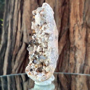 9.5cm 130g Garnet and Smoky Quartz, Tongbei, Fujian, China