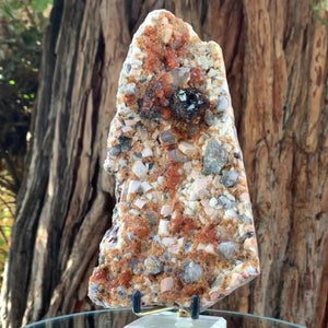 18cm 805g Garnet, Tongbei, Fujian, China