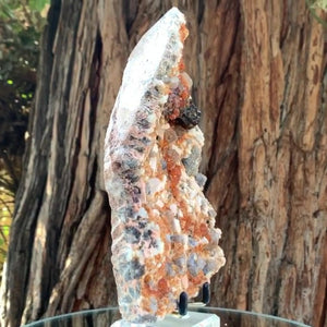 18cm 805g Garnet, Tongbei, Fujian, China