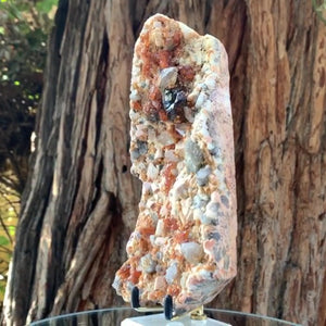 18cm 805g Garnet, Tongbei, Fujian, China