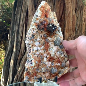 18cm 805g Garnet, Tongbei, Fujian, China
