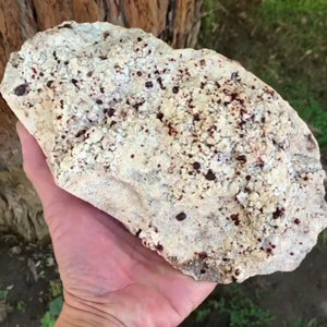 22cm 1.36kg Garnet, Tongbei, Fujian, China