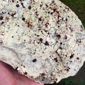 22cm 1.36kg Garnet, Tongbei, Fujian, China