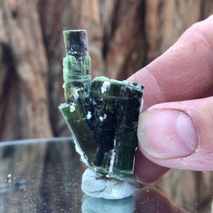 4.5cm 21g Green Tourmaline, Tulga Mine, Gilgit-Baltistan, Pakistan