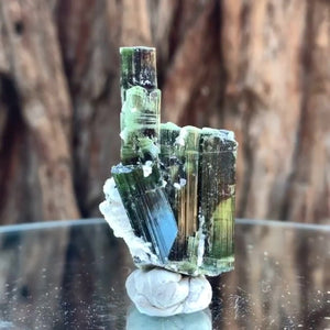 4.5cm 21g Green Tourmaline, Tulga Mine, Gilgit-Baltistan, Pakistan
