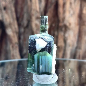 4.5cm 21g Green Tourmaline, Tulga Mine, Gilgit-Baltistan, Pakistan