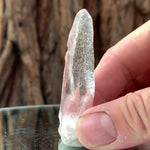 6cm 20g Himalayan Clear Quartz "Lady Finger" from Skardu, Pakistan