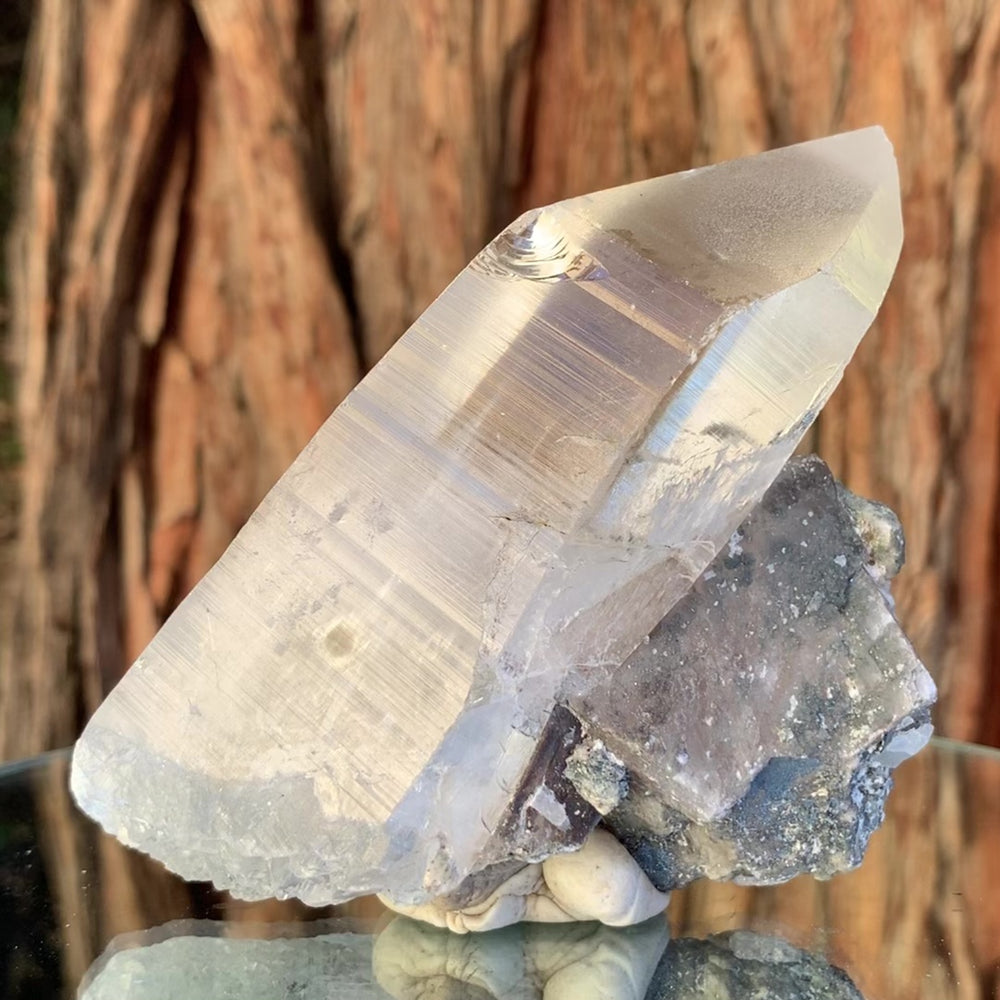 
            
                Load image into Gallery viewer, 12cm 560g Himalayan Clear Quartz from Skardu, Pakistan
            
        
