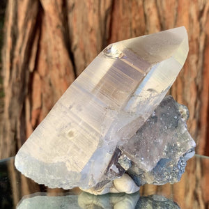 12cm 560g Himalayan Clear Quartz from Skardu, Pakistan