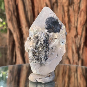 
            
                Load image into Gallery viewer, 8cm 180g Himalayan Clear Quartz w/ Mica from Niaslo Mine, Basha Valley, Skardu, Pakistan
            
        