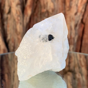 7.5cm 186g Himalayan Clear Quartz from Skardu, Pakistan