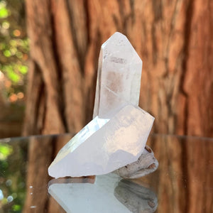 5.8cm 50g Himalayan Clear Quartz Cluster, Skardu, Pakistan