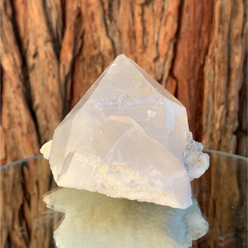 11.6cm 658g Himalayan Clear Quartz, & Black Tourmaline, Bulachi Mine, Roundu Valley, Skardu, Gilgit -Baltistan, Pakistan