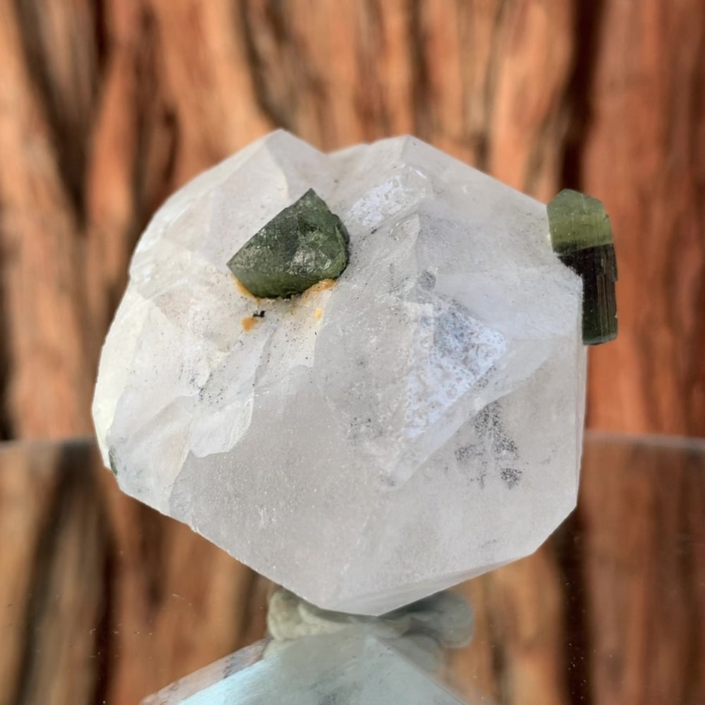 7cm 118g Tricolor Green Tourmaline w/ Clevelandite, Albite, Quartz from Tulga Mine, Astak Nala Roundu, Skardu, Pakistan