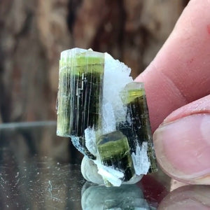 3cm 13g Tourmaline and Cleavelandite, Tulga Mine, Gilgit-Baltistan, Pakistan