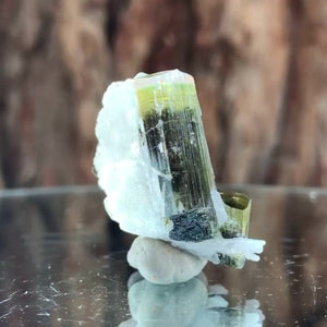 3cm 13g Tourmaline and Cleavelandite, Tulga Mine, Gilgit-Baltistan, Pakistan