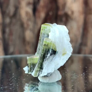 3cm 13g Tourmaline and Cleavelandite, Tulga Mine, Gilgit-Baltistan, Pakistan