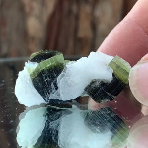 3.5cm 11g Tourmaline and Cleavelandite, Tulga Mine, Gilgit-Baltistan, Pakistan