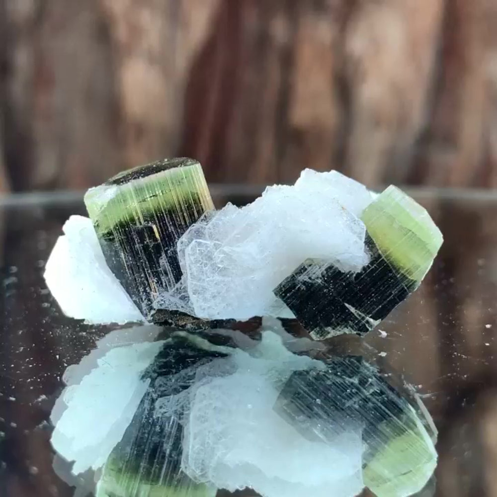 3.5cm 11g Tourmaline and Cleavelandite, Tulga Mine, Gilgit-Baltistan, Pakistan